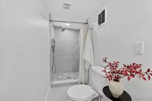 2339 Sulphur Ave, Saint Louis, MO 63139 - Photo 17