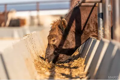 3292 South 107th Road, Washington, MO 65650 - Photo 63