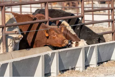 3292 South 107th Road, Washington, MO 65650 - Photo 67