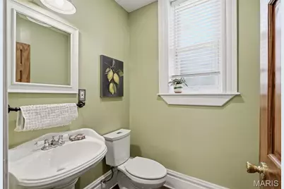 3010 Salena Street, Saint Louis, MO 63118 - Photo 13