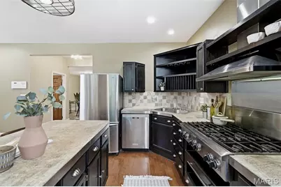 3010 Salena Street, Saint Louis, MO 63118 - Photo 17