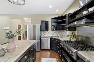 3010 Salena St, Saint Louis, MO 63118 - Photo 17