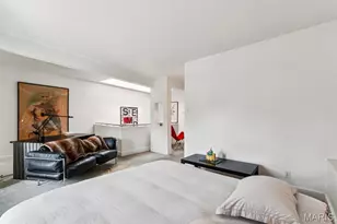 3114 Illinois Ave, Saint Louis, MO 63118 - Photo 35