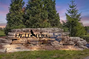 156 Eagle Frk Dr, Moscow Mills, MO 63362 - Photo 63