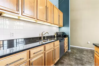 1720 Chouteau Avenue #103, Saint Louis, MO 63103 - Photo 17
