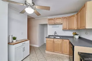125 Lithia Ave, Webster Groves, MO 63119 - Photo 15
