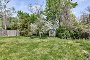 125 Lithia Ave, Webster Groves, MO 63119 - Photo 29