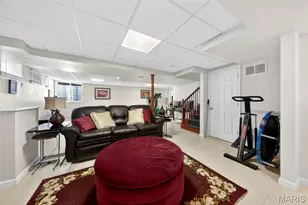 19 Jost Manor Ct, Florissant, MO 63034 - Photo 37