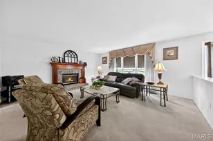 19 Jost Manor Ct, Florissant, MO 63034 - Photo 9