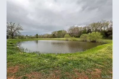 21069 Colony Church Road, Farmington, MO 63460 - Photo 7