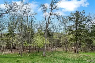17481 Wyman Ridge Dr, Eureka, MO 63025 - Photo 41