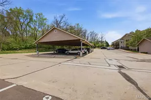 4501 Eli Dr, Saint Louis, MO 63128 - Photo 39