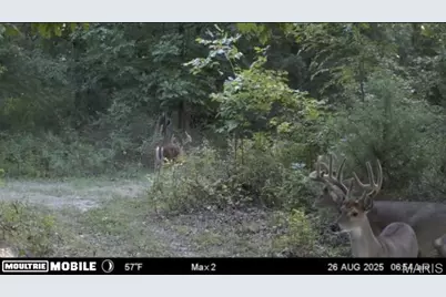 4710 Pike 451, Curryville, MO 63339 - Photo 33