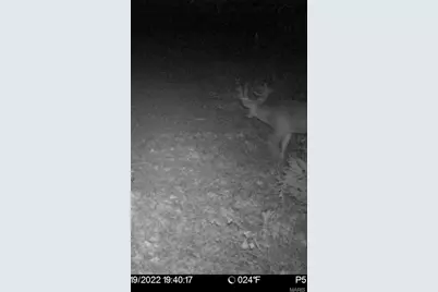 4710 Pike 451, Curryville, MO 63339 - Photo 37