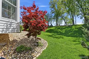 12638 Jane Denny Ln, Saint Louis, MO 63128 - Photo 29