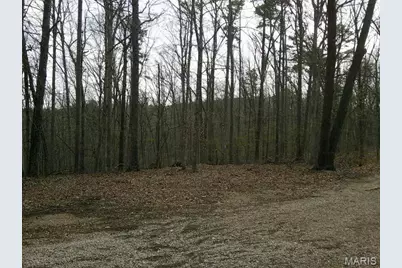 0000 W State Highway 8, Potosi, MO 63664 - Photo 7