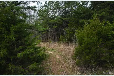 214 Hobby Hut Road, Leasburg, MO 65535 - Photo 35