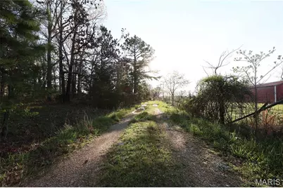 Tract 1 State Hwy Dd, Glendale, MO 63655 - Photo 9