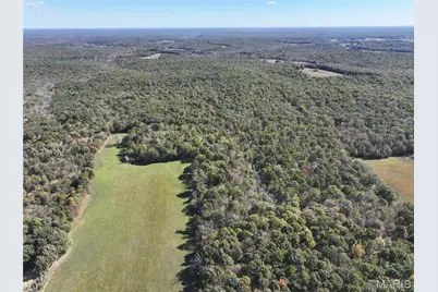 Tract 3 State Hwy Dd, Glendale, MO 63655 - Photo 3