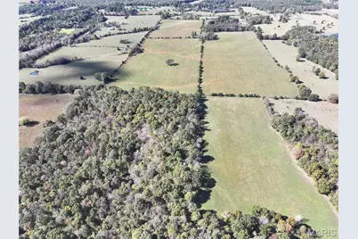 Tract 3 State Hwy Dd, Glendale, MO 63655 - Photo 9