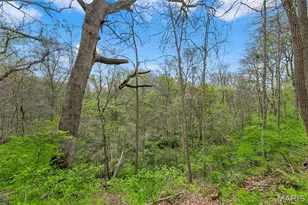 250 Quindaro Dr, Florissant, MO 63034 - Photo 47
