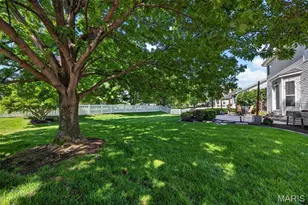 245 Strathmoor Way, Dardenne Prairie, MO 63368 - Photo 57