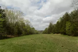 1826 Co Rd 372, Annapolis, MO 63620 - Photo 45