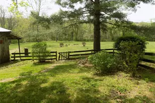 1826 Co Rd 372, Annapolis, MO 63620 - Photo 29