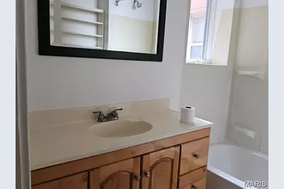 3807 Potomac Street #1, Saint Louis, MO 63116 - Photo 13