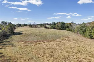 6933 Russell Rd, Hillsboro, MO 63050 - Photo 23