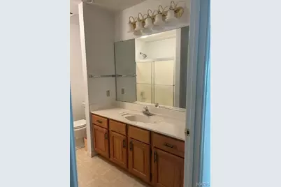 107 Vincent Street, Pacific, MO 63069 - Photo 27
