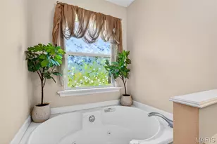 3445 Lynch Rd, Pacific, MO 63069 - Photo 33