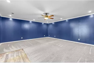 331 Central Avenue, Festus, MO 63028 - Photo 59