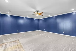 331 Central Ave, Festus, MO 63028 - Photo 59