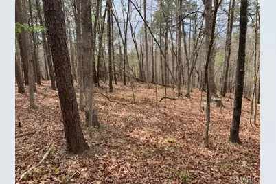 0 County Rd 229, Fredericktown, MO 63645 - Photo 5