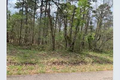 0 County Rd 229, Fredericktown, MO 63645 - Photo 3