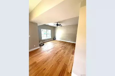 621 McKissock Street Street, De Soto, MO 63020 - Photo 3