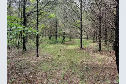 188.7+- N Service E Road, Sullivan, MO 63080 - Photo 25