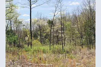 188.7+- N Service E Road, Sullivan, MO 63080 - Photo 39