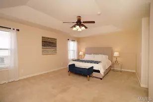 307 Shady Rock Ln, O'Fallon, MO 63368 - Photo 19