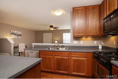 307 Shady Rock Lane, O'Fallon, MO 63368 - Photo 9