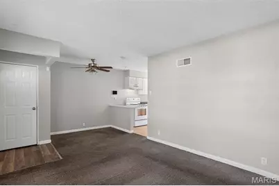 10028 Dellridge Lane, Saint Louis, MO 63136 - Photo 11