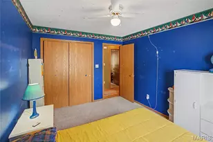 236 Alpine Dr, Cape Girardeau, MO 63701 - Photo 17