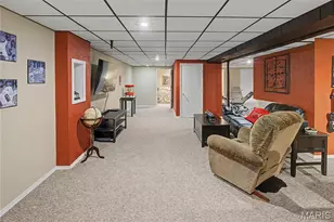 236 Alpine Dr, Cape Girardeau, MO 63701 - Photo 25