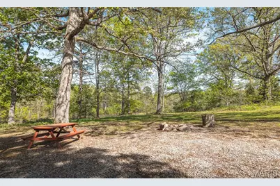 11090 Highway K, Jadwin, MO 65501 - Photo 41