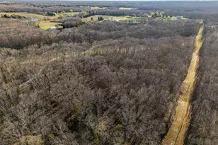 29061 State Hwy Y, Jonesburg, MO 63351 - Photo 87