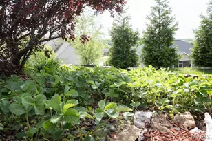 4947 S Point Rd, Washington, MO 63090 - Photo 61