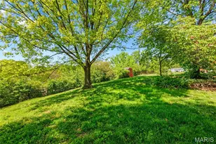 557 May Valley Dr, Fenton, MO 63026 - Photo 55