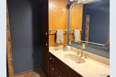 324 Lantern Lane, Lebanon, MO 65536 - Photo 21