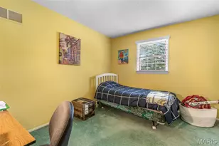 842 Ridgeview Dr, Bonne Terre, MO 63628 - Photo 47